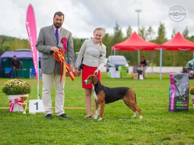 Satumeren Madonna BIS1 Let's Go Showssa Vantaalla 2015