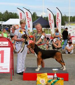 Emma ja Satumeren Niko, ensimmäinen Junior Handler -osakilpailuvoitto Kuopiossa vuonna 2014 / Emma took her first ticket to the Junior Handler finals with Niko in Kuopio 2014